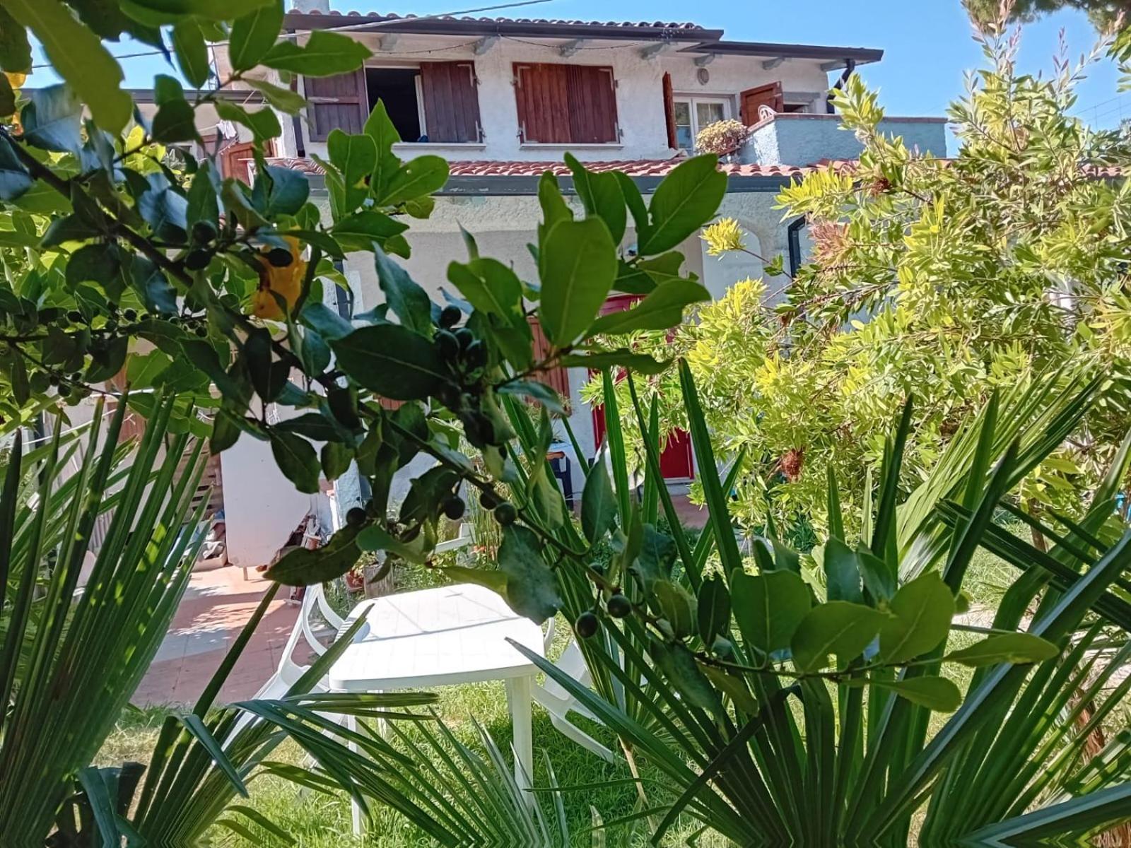 דירות מאסה Sogno Vacanze מראה חיצוני תמונה
